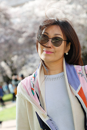 UW Cherry Blossoms 2023-50