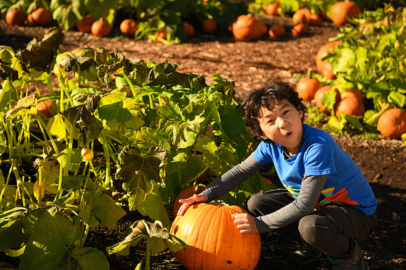 D850 Fall-687
