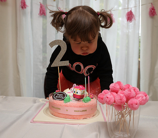 Ara 2nd Birthday Party-54