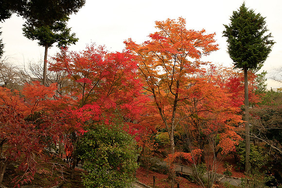 Asia 2012-1410