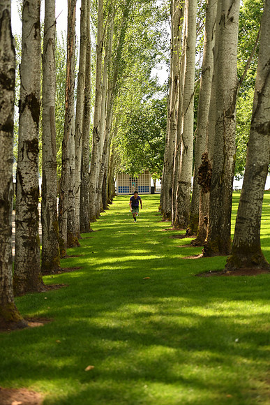D5Park-13_ISO 640_1-2000 sec at f - 2.8_70.0-200.0 mm f-2.8 at 70 mm