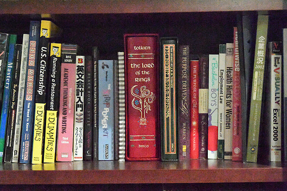 D5Bk-33_ISO 409600_1-400 sec at f - 5.6_70.0-200.0 mm f-2.8 at 100 mm