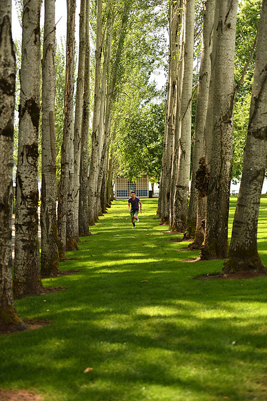 D5Park-25_ISO 640_1-2000 sec at f - 2.8_70.0-200.0 mm f-2.8 at 70 mm