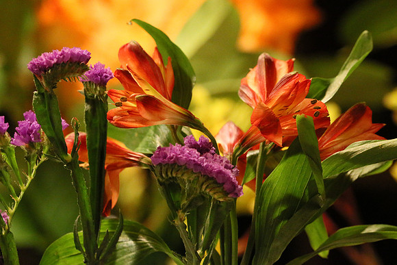Canon 1D-X First Shots-92_ISO 25600__1-40 sec at f - 13