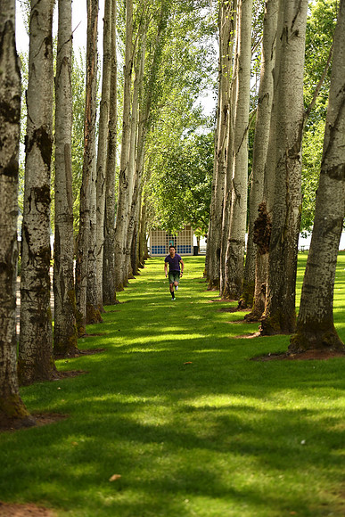 D5Park-37_ISO 640_1-2000 sec at f - 2.8_70.0-200.0 mm f-2.8 at 70 mm