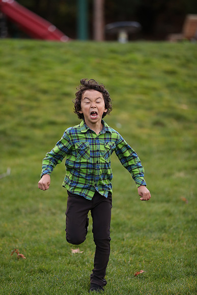 1DM2 LBoren-2015 Canon EOS-1D X Mark II EF70-200mm f-2.8L IS II USM 200 mm 1-1000 sec at f - 2.8 ISO 1250_