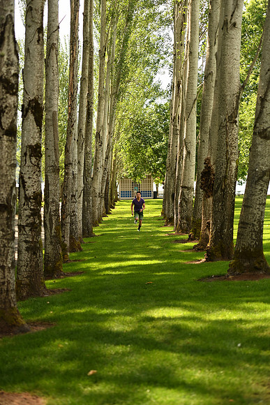 D5Park-31_ISO 640_1-2000 sec at f - 2.8_70.0-200.0 mm f-2.8 at 70 mm