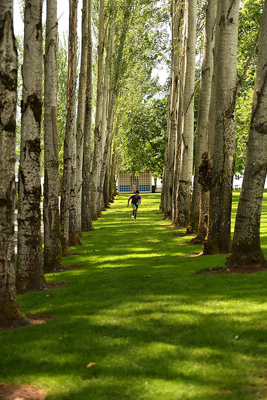 D5Park-9_ISO 640_1-2000 sec at f - 2.8_70.0-200.0 mm f-2.8 at 70 mm