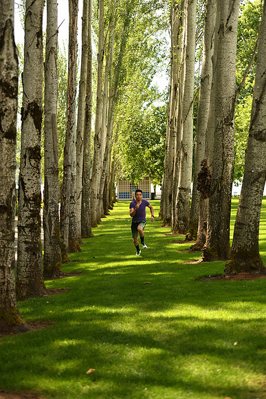D5Park-73_ISO 640_1-2000 sec at f - 2.8_70.0-200.0 mm f-2.8 at 70 mm