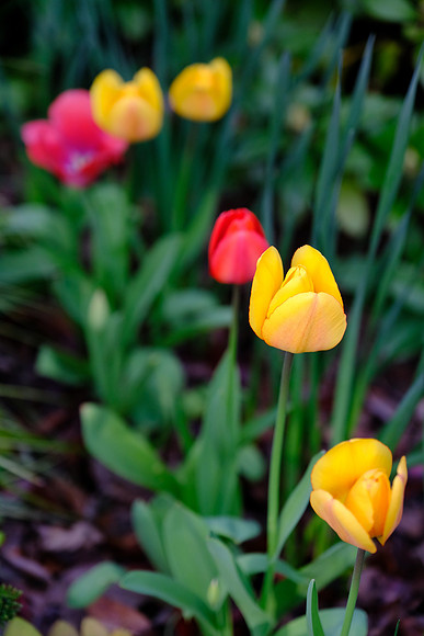 X-Pro2 Day 3-117_ISO 500_1-500 sec at f - 2.8_XF16-55mmF2.8 R LM WR at 55 mm