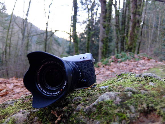 XQ1-21_ISO 1250_1-60 sec at f - 1.8_ at 6.4 mm