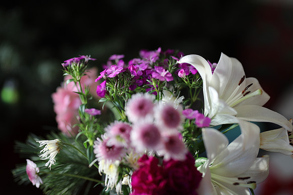 Sig85-41 Canon EOS-1D X Mark II 85mm F1.4 DG HSM - Art 016 85 mm 1-160 sec at f - 1.8 ISO 200_