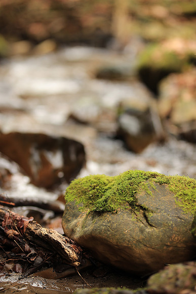 Sig85-153 Canon EOS-1D X Mark II 85mm F1.4 DG HSM - Art 016 85 mm 1-160 sec at f - 1.8 ISO 320_