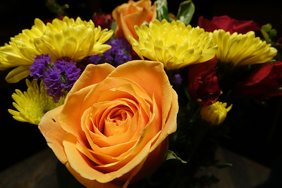 Sony_RX10-174_ISO 800_1-30 sec at f - 5.6_8.8-73.3 mm f-2.8 at 8.81 mm