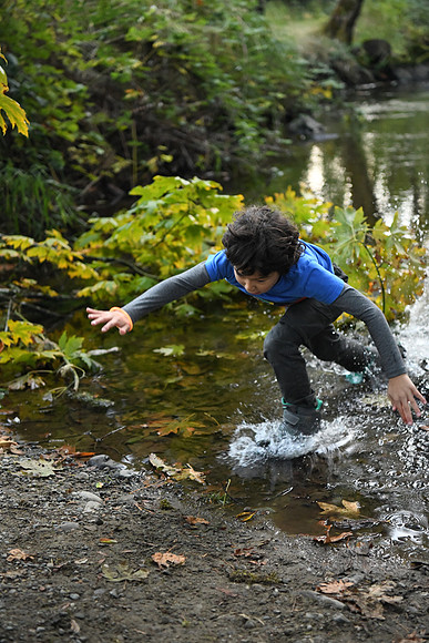 D850 Fall-960 NIKON D850 24.0-70.0 mm f-2.8 52 mm 1-1000 sec at f - 2.8 ISO 8000_