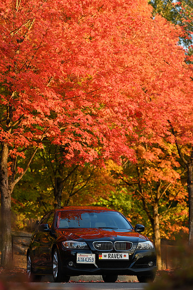 D850 Fall-89 NIKON D850 135.0 mm f-1.8 135 mm 1-200 sec at f - 5.0 ISO 500_