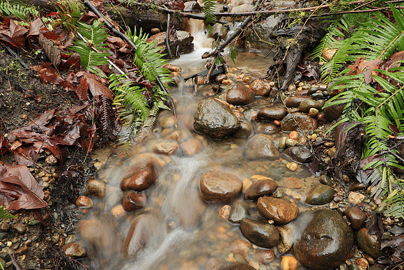 Wet Hike-81 Canon EOS-1D X Mark II EF24-105mm f-4L IS II USM 27 mm 0.5 sec at f - 11 ISO 160_