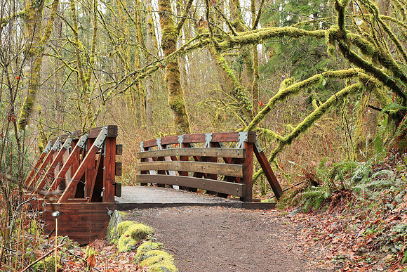 Wet Hike-337 Canon EOS-1D X Mark II EF24-105mm f-4L IS II USM 56 mm 0.8 sec at f - 9.0 ISO 200_