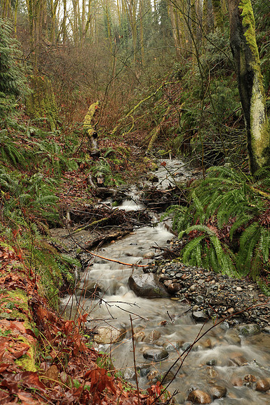 Wet Hike-215 Canon EOS-1D X Mark II EF24-105mm f-4L IS II USM 45 mm 0.6 sec at f - 9.0 ISO 100_