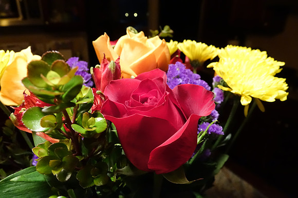 Sony_RX10-162_ISO 3200_1-25 sec at f - 5.6_8.8-73.3 mm f-2.8 at 8.8 mm