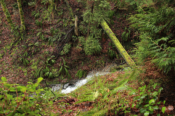 Wet Hike-179 Canon EOS-1D X Mark II EF16-35mm f-2.8L III USM 35 mm 1-30 sec at f - 2.8 ISO 320_
