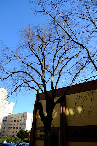 XE2NR-2-69_ISO 200_1-800 sec at f - 3.2_XF18-55mmF2.8-4 R LM OIS at 18.8 mm