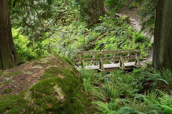 Woods A7R4-42 [1.0 sec at f - 8.0 31 mm Sony ILCE-7RM4 FE 24-105mm F4 G OSS]