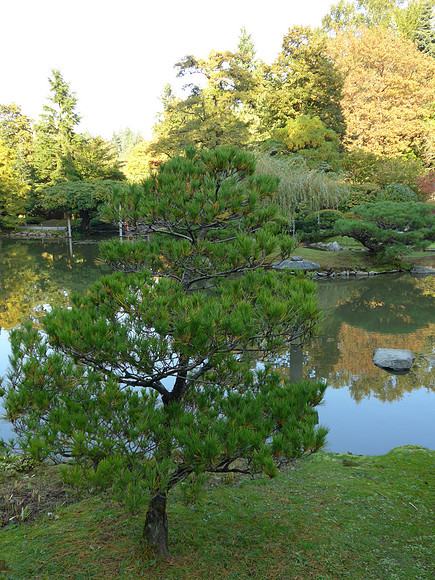 LF1-220_ISO 80_1-200 sec at f - 2.1_ at 6.5 mm