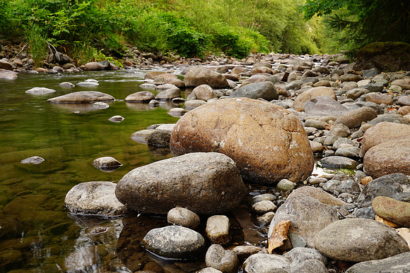 a9 Camping-828 ILCE-9 FE 24-70mm F2.8 GM 24 mm 1-4 sec at f - 9.0 ISO 100_