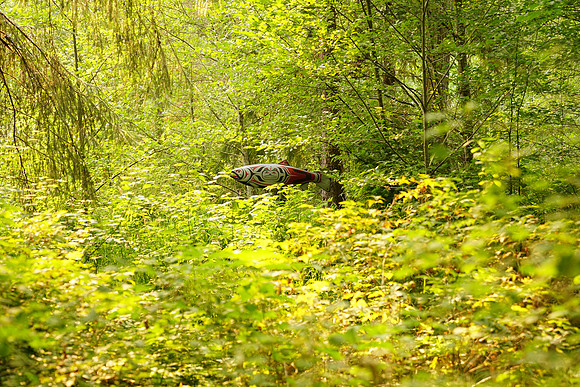 a9 Camping-182 ILCE-9 FE 24-70mm F2.8 GM 70 mm 1-160 sec at f - 2.8 ISO 250_