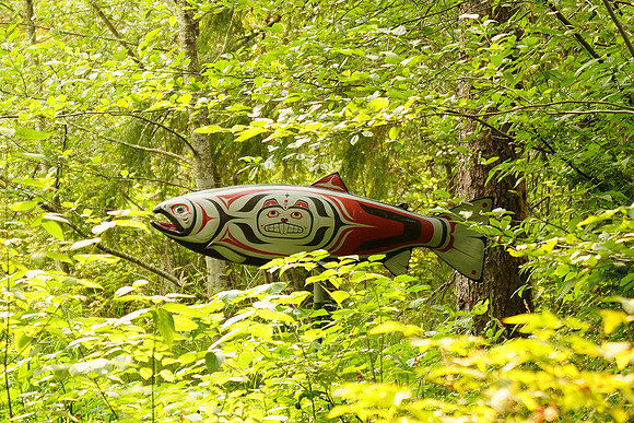 a9 Camping-181 ILCE-9 FE 24-70mm F2.8 GM 70 mm 1-250 sec at f - 2.8 ISO 500_