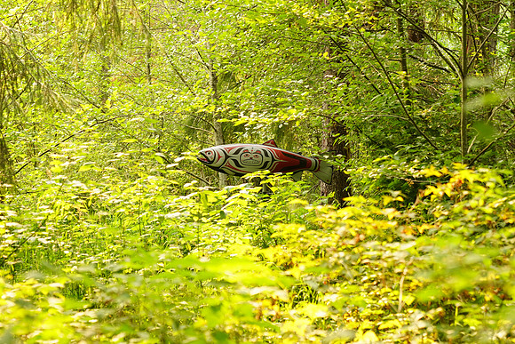 a9 Camping-180 ILCE-9 FE 24-70mm F2.8 GM 70 mm 1-250 sec at f - 2.8 ISO 400_