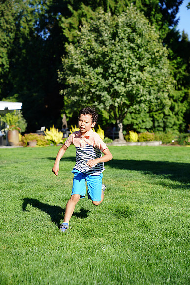 a9-165 ILCE-9 FE 24-70mm F2.8 GM 70 mm 1-1250 sec at f - 3.2 ISO 125_