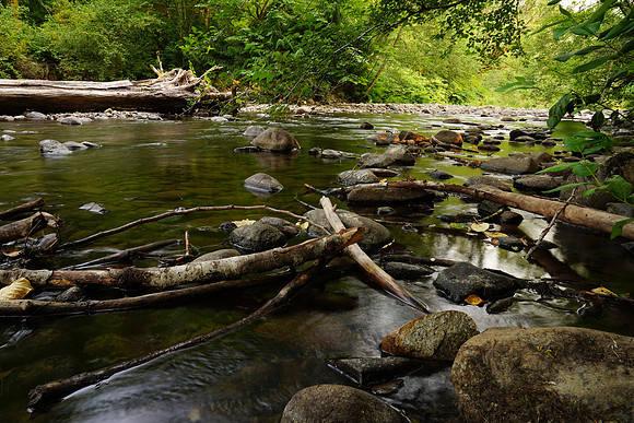a9 Camping-188 ILCE-9 FE 24-70mm F2.8 GM 24 mm 0.6 sec at f - 16 ISO 100_