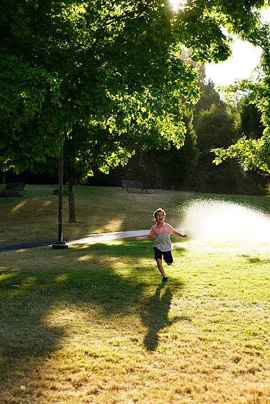 a9 LB-675 ILCE-9 FE 24-70mm F2.8 GM 70 mm 1-2000 sec at f - 4.0 ISO 1250_
