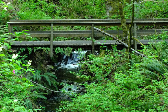 X-S1-181_ISO 3200_1-40 sec at f - 6.4_ at 20.5 mm