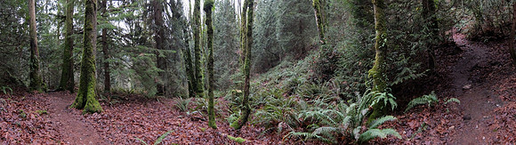 XQ1-113_ISO 1600_1-90 sec at f - 2.5_ at 7.4 mm