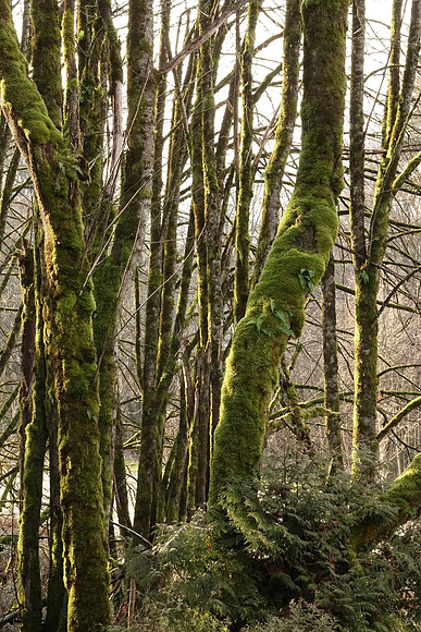 Sony_RX10-137_ISO 1000_1-125 sec at f - 8.0_8.8-73.3 mm f-2.8 at 37.54 mm