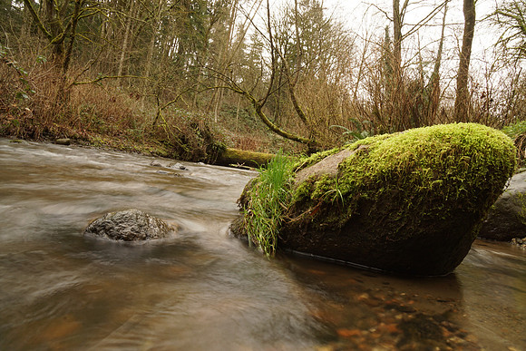 a6000-136-a3000-136_ISO 100_0.6 sec at f - 22_E 16-70mm F4 ZA OSS at 16 mm