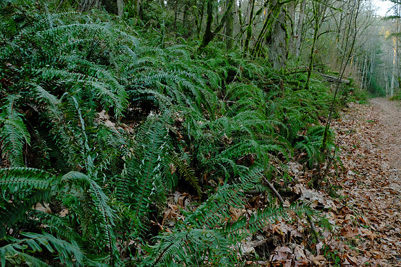 XE2NR-2-112_ISO 6400_1-45 sec at f - 9.0_XF18-55mmF2.8-4 R LM OIS at 23.3 mm