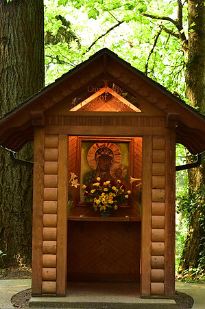 Oregon-882