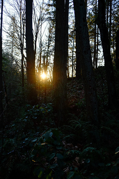 XE2NR-2-109_ISO 800_1-320 sec at f - 3.2_XF18-55mmF2.8-4 R LM OIS at 20.5 mm