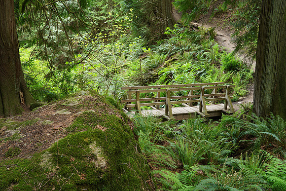 Woods A7R4-38 [3.2 sec at f - 16 31 mm Sony ILCE-7RM4 FE 24-105mm F4 G OSS]