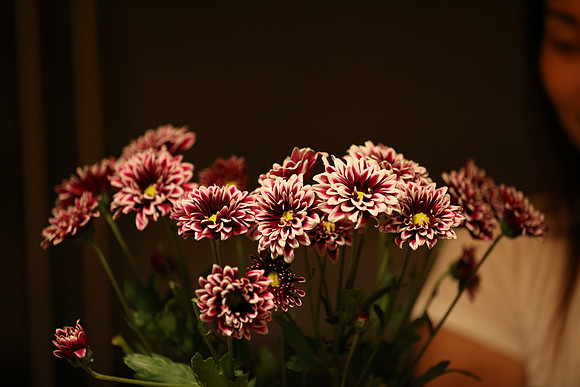 Canon 1D-X First Shots-14_ISO 4000__1-200 sec at f - 2.8