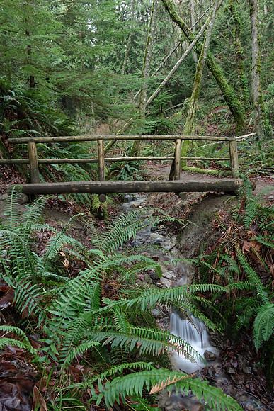 Sony_RX10-264_ISO 200_3.2 sec at f - 10_8.8-73.3 mm f-2.8 at 10.49 mm
