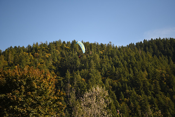 D850 Fall-573 NIKON D850 24.0-70.0 mm f-2.8 70 mm 1-2000 sec at f - 2.8 ISO 250_