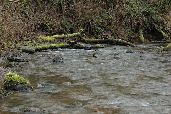 VNDR4-12_ISO 400_0.5 sec at f - 22_EF100-400mm f-4.5-5.6L IS II USM at 100 mm