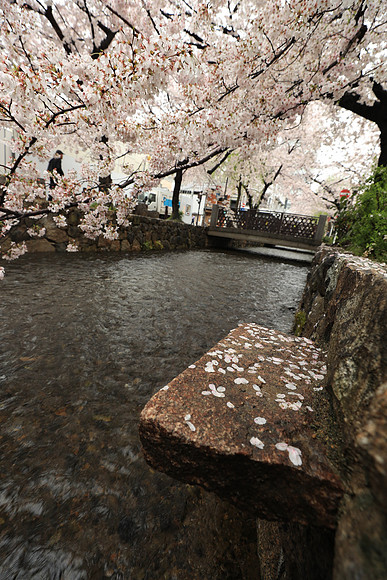 CC9I5464 Canon EOS-1D X Mark II EF16-35mm f-2.8L III USM 16 mm 1-60 sec at f - 5.6 ISO 250_