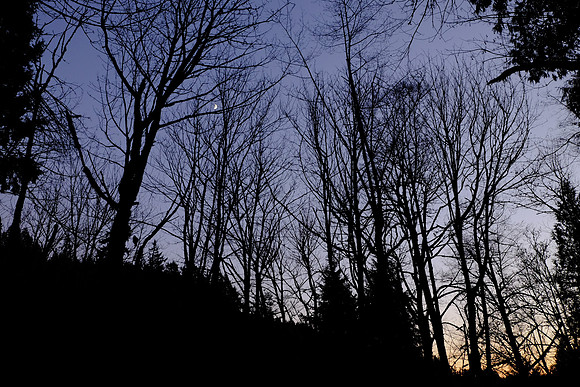 XE2NR-2-141_ISO 800_1-150 sec at f - 3.2_XF18-55mmF2.8-4 R LM OIS at 18 mm
