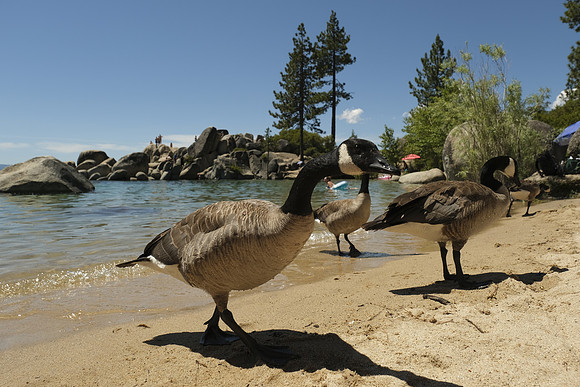 Lake Tahoe 2019-1004 [1-950 sec at f - 5.6 16 mm Fujifilm X-T30 XF16-55mmF2.8 R LM WR]